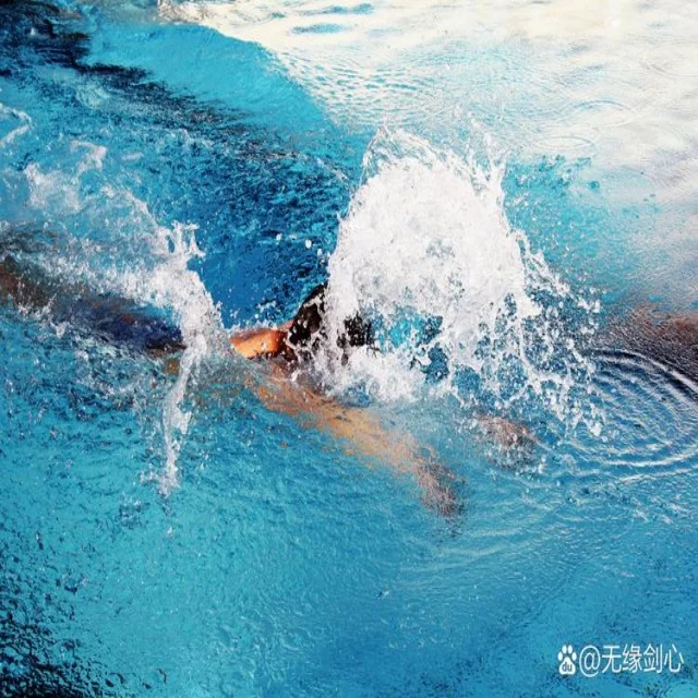 申花客战前瞻：挑战全新阵容考验